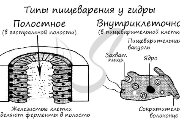 Кракен даркен