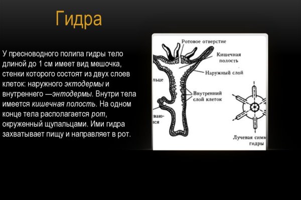 Как написать администрации даркнета кракен