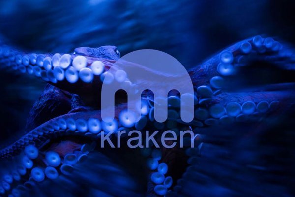 Kit kraken официальный сайт