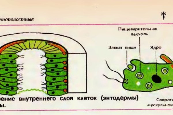 2krn сс что это такое