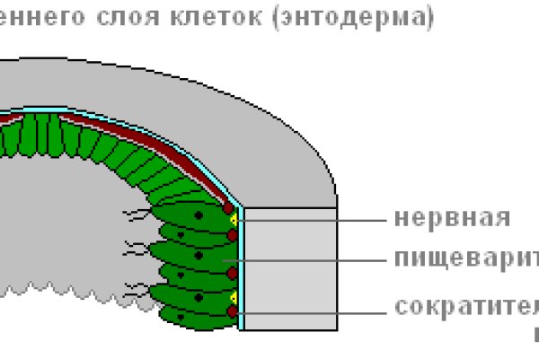 Кракен мониторинг ссылок kraken torion