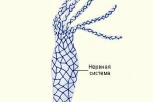 Как пополнять кракен тор